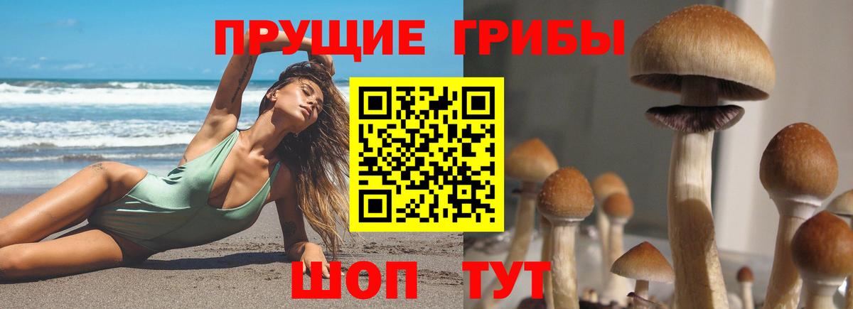 Псилоцибиновые грибы прущие грибы  Вход с VPN  Бор 